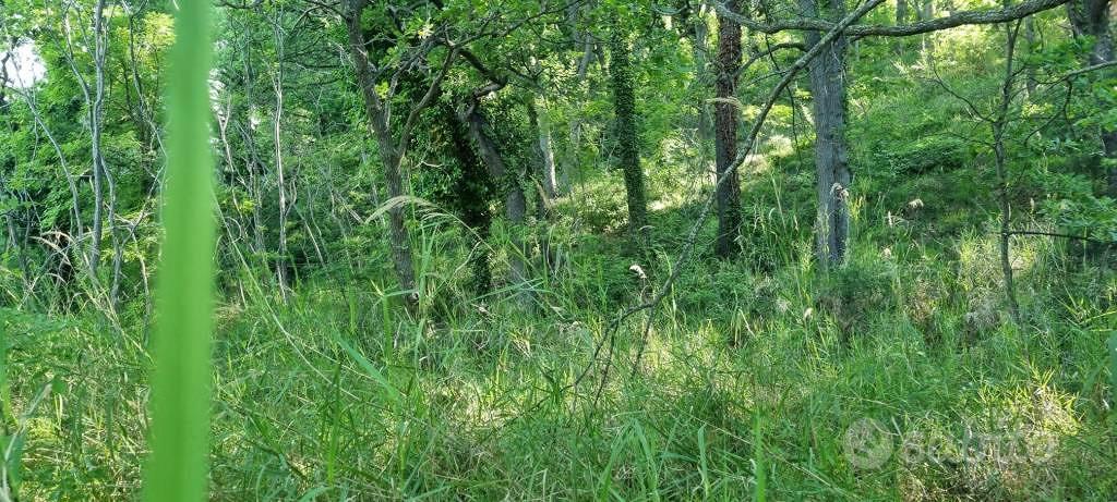 Terreno di 1800 m² a Gemmano - Altro