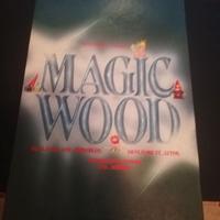 gioco vintage magic wood