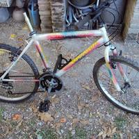 mtb mountain bike sovrana