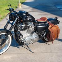 Harley davidson sportster 883