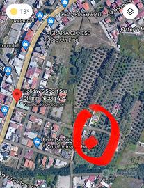 Fabbricato con terreno di pertinenza