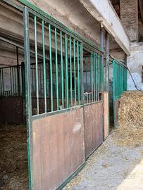 Pareti frontali da box