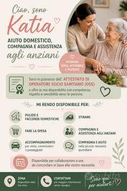 Aiuto domestico, compagnia agli anziani
