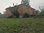 Immagine 11