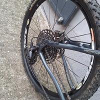 MTB orbea 