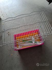gabbia 