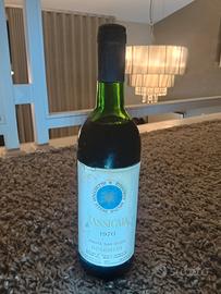 sassicaia 1970