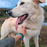 Dolce matilda senza una famiglia