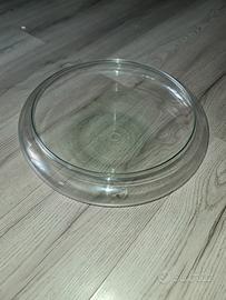 ciotola di vetro vaso terrario centrotavola