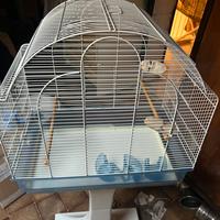 Voliera x uccellinicon piedistallo