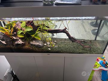 Acquario juwel rio 240 + mobiletto