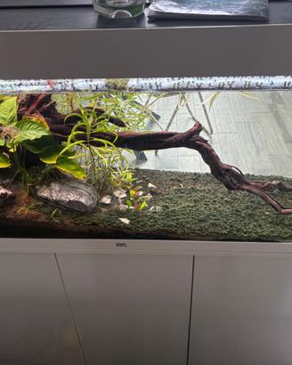 Acquario juwel rio 240 + mobiletto