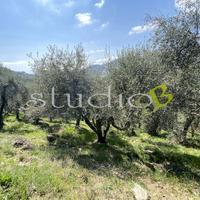 Rustico-Casale a Perinaldo