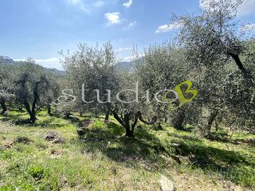 Rustico-Casale a Perinaldo