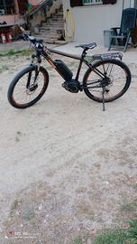 Bicicletta a pedalata assistita