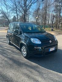 Panda Hybrid City Life 2024