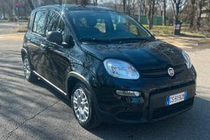 Panda Hybrid City Life 2024