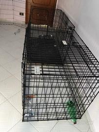 kennel cane