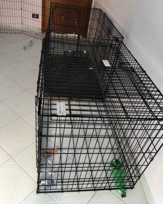 kennel cane
