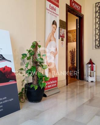 Attività commerciale - Fonte Nuova