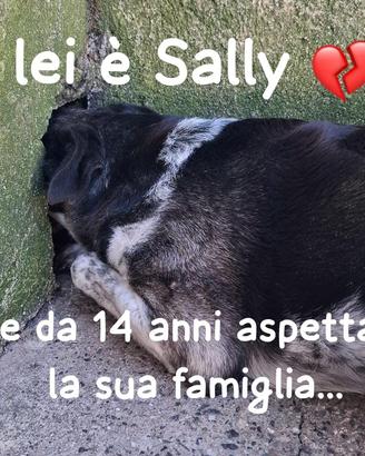 SALLY 14 ANNI taglia media contenuta