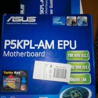 Scheda Madre ASUS P5KPL-AM EPU socket 775