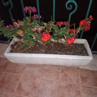 coppia di vasi gemelli 