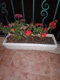 coppia di vasi gemelli 