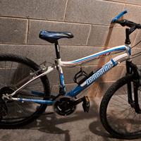 Montain-bike Lombardo