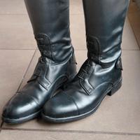 Stivali equitazione Oxford taglia 39