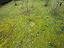 Immagine 14