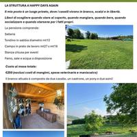 Pensione Cavalli gestione naturale