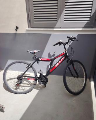 bicicletta montanbike