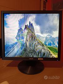 Monitor ASUS 19" LCD - Ideale per Videosorveglianz