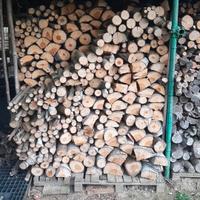 Legna varia stagionata già tagliata -  €10/q.le