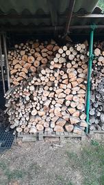 Legna varia stagionata già tagliata -  €10/q.le