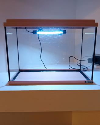 Acquario  Zolux 24 L