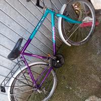 bicicletta 