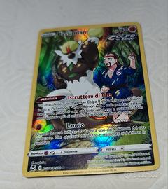 carte pokemon