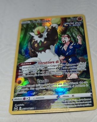 carte pokemon