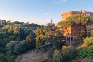 Attico panoramico tranquillo nel verde-Trionfale