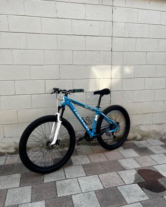 Bici mtb