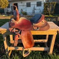 Sella americana denver