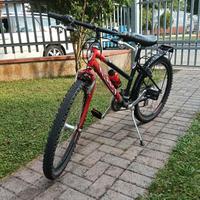 bicicletta Tiesse