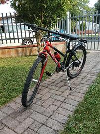 bicicletta Tiesse