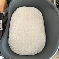 Cuccia in plastica con cuscino