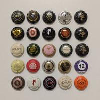 Franciacorta - 25 Capsule Miste