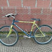 mtb olympia