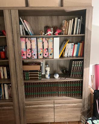 libreria moderna 