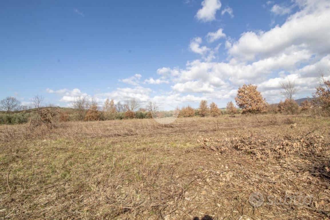 TER. AGRICOLO A MORICONE - Altro